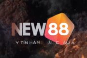 Tìm hiểu đôi nét về nhà cái NEW88